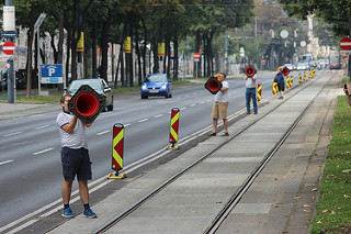 File:Vienna cones.jpg